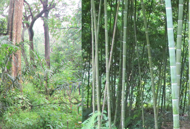 Slider Image: 